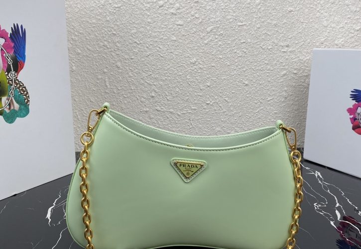 Prada Medieval Cleo Leather Bag in Green Captivates Fashion Enthusiasts at Paris Fashion Week