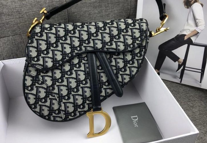 Daring Elegance The Dior Oblique Jacquard Saddle Bag Takes Center Stage at Fashion Week